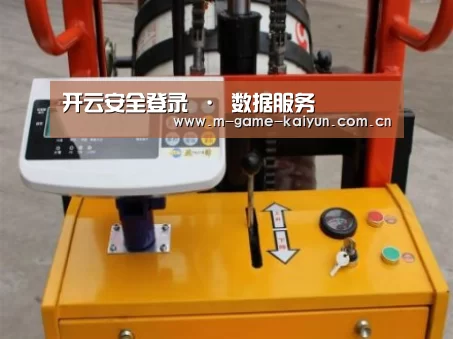 开云首页案例展示三
