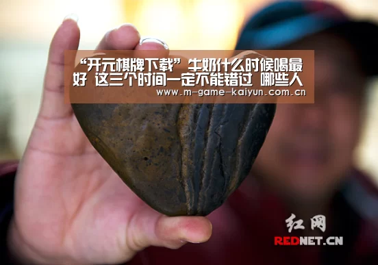“开元棋牌下载”牛奶什么时候喝最好 这三个时间一定不能错过 哪些人不能喝牛奶一起来看看吧!(图1) 开元棋牌app
