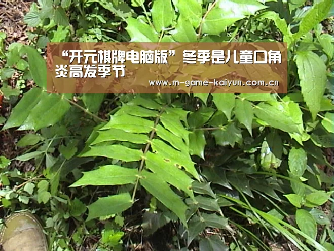 “开元棋牌电脑版”冬季是儿童口角炎高发季节(图4) 开元棋牌app