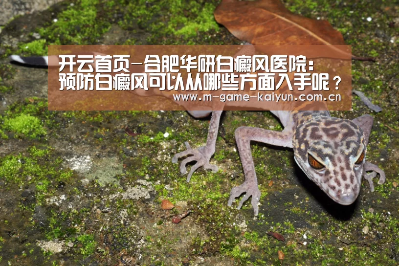 开云首页